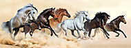 A lóállomány porfelhőkben fut vászonkép, poszter vagy falikép