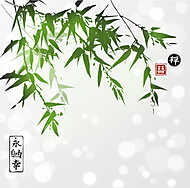 Zöld bambusz fehér háttéren. Hieroglfot tartalmaz vászonkép, poszter vagy falikép
