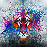 Tigris feje festett háttéren vászonkép, poszter vagy falikép