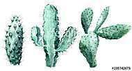 Watercolor set of cactus isolated illustration on a white backg vászonkép, poszter vagy falikép