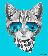 Hand drawn portrait of Cat with mirror sunglasses and scarf. Vec vászonkép, poszter vagy falikép