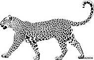 Leopard in black interpretation 2 vászonkép, poszter vagy falikép