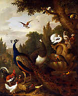 Páva és egyéb madarak a parkban vászonkép, poszter vagy falikép