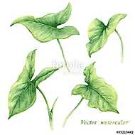 Set of watercolor green leaves. vászonkép, poszter vagy falikép
