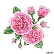 Floral composition of pink english roses, buds and leaves isolat vászonkép, poszter vagy falikép