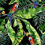 Arab papagáj pálmalevelek közt vászonkép, poszter vagy falikép