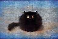 Fekete gombolyag cica vászonkép, poszter vagy falikép