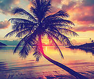 Magnificent beautiful bright tropical sunset, sun, palm tree, sa vászonkép, poszter vagy falikép
