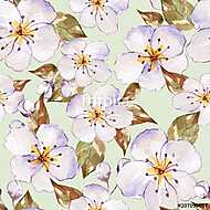 Floral seamless pattern 7. Watercolor background with white flow vászonkép, poszter vagy falikép