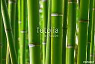 Bambusz erdő vászonkép, poszter vagy falikép