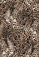 leopard vászonkép, poszter vagy falikép