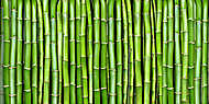 bambusz vászonkép, poszter vagy falikép
