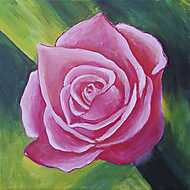Pink rózsa festmény vászonkép, poszter vagy falikép