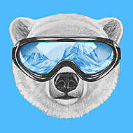 Portrait of Polar Bear with ski goggles. Hand drawn illustration vászonkép, poszter vagy falikép