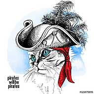 Image cat portrait in a pirate hat and bandana on blue backgroun vászonkép, poszter vagy falikép