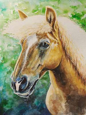 Haflingi ló (akvarell) (keretezett kép) - vászonkép, falikép otthonra és irodába