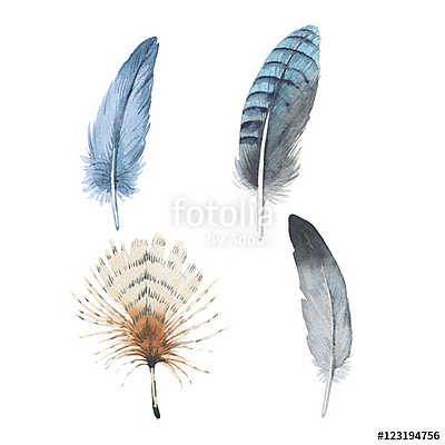 Watercolor bird feather from wing isolated. Aquarelle wild flowe (fotótapéta) - vászonkép, falikép otthonra és irodába