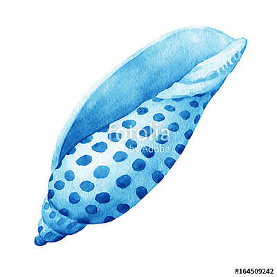 Illustrations of blue sea shells. Marine design. Hand drawn wate (keretezett kép) - vászonkép, falikép otthonra és irodába