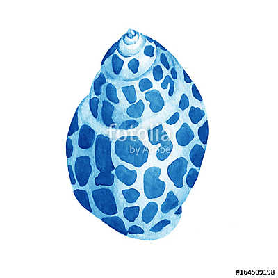 Illustrations of blue sea shells. Marine design. Hand drawn wate (bögre) - vászonkép, falikép otthonra és irodába