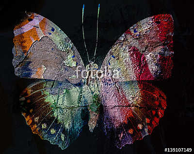 Grunge butterfly (bögre) - vászonkép, falikép otthonra és irodába