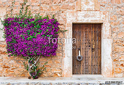 Old wooden door and stone wall with mediterranean bougainvillea (poszter) - vászonkép, falikép otthonra és irodába