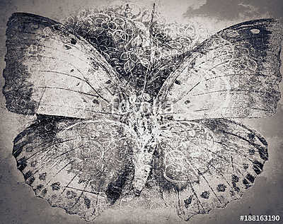 grunge butterfly background texture (bögre) - vászonkép, falikép otthonra és irodába