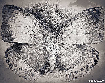 grunge butterfly background texture (vászonkép óra) - vászonkép, falikép otthonra és irodába