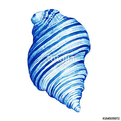 Illustrations of blue sea shells. Marine design. Hand drawn wate (vászonkép óra) - vászonkép, falikép otthonra és irodába