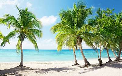 Caribbean sea and coconut palms (többrészes kép) - vászonkép, falikép otthonra és irodába