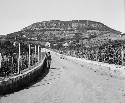 Badacsony (1942) (többrészes kép) - vászonkép, falikép otthonra és irodába