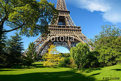 Fák a párizsi parkban (poszter) - vászonkép, falikép otthonra és irodába