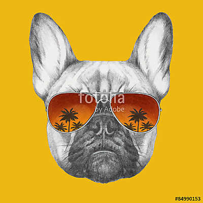 Hand drawn portrait of French Bulldog with mirror sunglasses. Ve (fotótapéta) - vászonkép, falikép otthonra és irodába