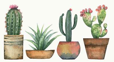 Watercolor vector set of cacti and succulent plants isolated on  (poszter) - vászonkép, falikép otthonra és irodába