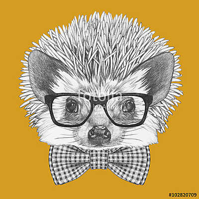 Portrait of Hedgehog with glasses and bow tie. Hand drawn illust (fotótapéta) - vászonkép, falikép otthonra és irodába