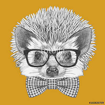 Portrait of Hedgehog with glasses and bow tie. Hand drawn illust (vászonkép óra) - vászonkép, falikép otthonra és irodába