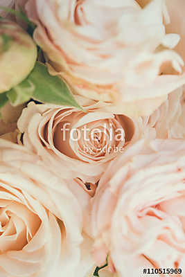 Beautiful fresh beige roses background (fotótapéta) - vászonkép, falikép otthonra és irodába