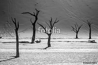 Sossusvlei sós tó sivatagi táj halott fákkal és dűnékkel, N (fotótapéta) - vászonkép, falikép otthonra és irodába