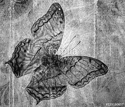 grunge butterfly (bögre) - vászonkép, falikép otthonra és irodába