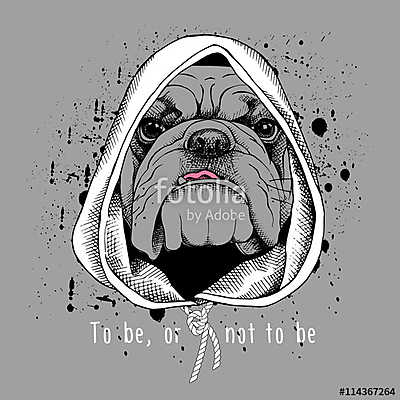 The poster with the image of the dog Bulldog in the hood. Vector (poszter) - vászonkép, falikép otthonra és irodába