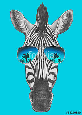 Portrait of Zebra with mirror sunglasses. Hand drawn illustratio (keretezett kép) - vászonkép, falikép otthonra és irodába