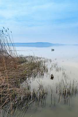 Lake Balaton (keretezett kép) - vászonkép, falikép otthonra és irodába