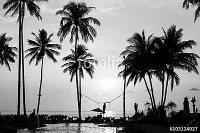 Silhouettes of palm trees on a tropical beach, black and white p (bögre) - vászonkép, falikép otthonra és irodába
