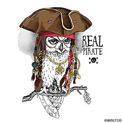 Owl with Dreadlocks and accessories in a Pirate hat on a oak bra (bögre) - vászonkép, falikép otthonra és irodába