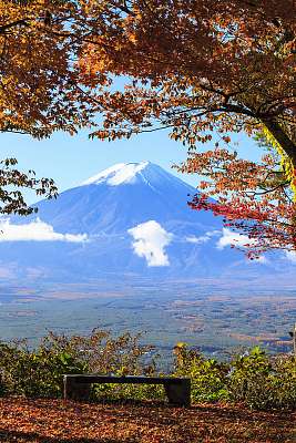 Az őszi szezon a Mt. Fuji Japánban, szép sárga színnel (bögre) - vászonkép, falikép otthonra és irodába