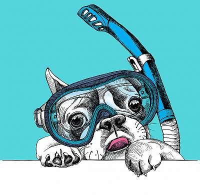 Portrait of a French Bulldog in diving mask with tube on blue ba (többrészes kép) - vászonkép, falikép otthonra és irodába