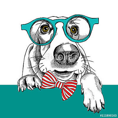 The image dog Basset Hound portrait in the glasses and with bow. (bögre) - vászonkép, falikép otthonra és irodába