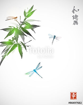 Bambusz ág és három szitakötõ (poszter) - vászonkép, falikép otthonra és irodába
