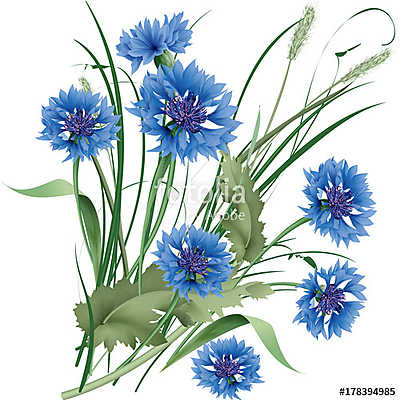 Bouquet bunch of blue cornflowers wildflowers with green leaves. (vászonkép óra) - vászonkép, falikép otthonra és irodába