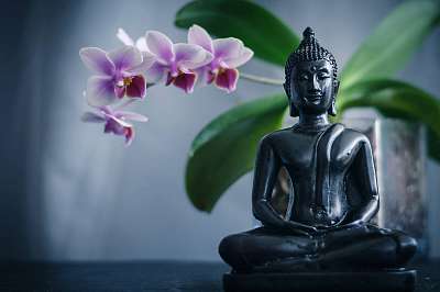 Buddha and Orchid (keretezett kép) - vászonkép, falikép otthonra és irodába