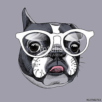 French Bulldog portrait in a glasses. Vector illustration. (többrészes kép) - vászonkép, falikép otthonra és irodába